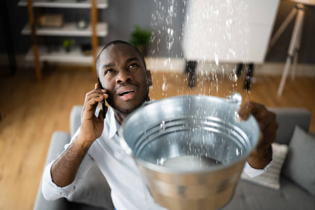 Best Local water damage restoration  in Hideo, UT