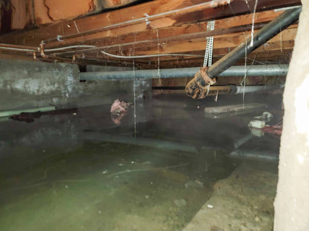 Best Residential water damage restoration  in Hideo, UT