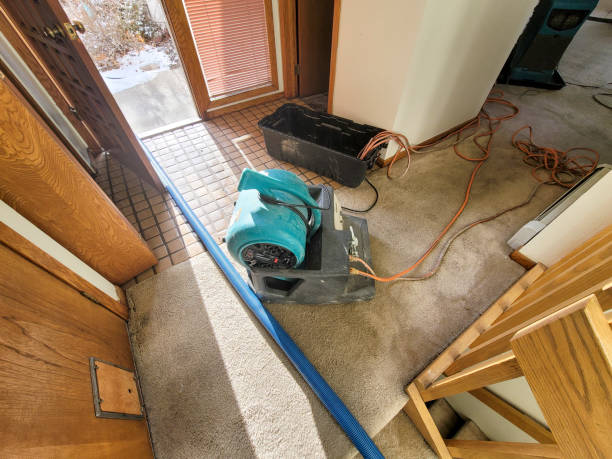 Best Water damage restoration mold remediation  in Hideo, UT