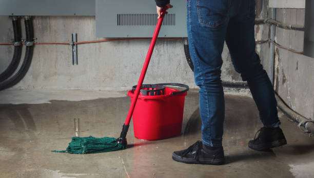 Best Fire Damage Restoration  in Hideo, UT