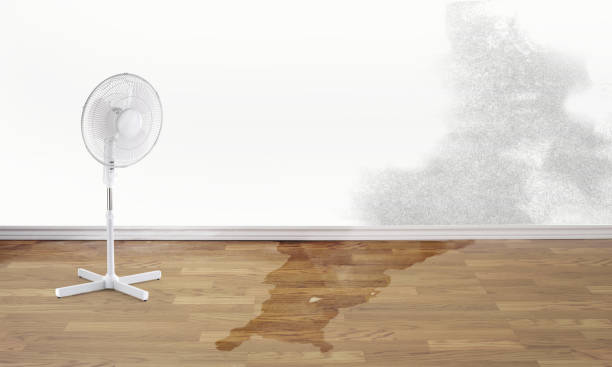 Best Water damage restoration near me  in Hideo, UT