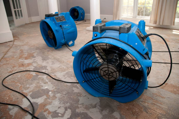 Best Flood restoration services  in Hideo, UT