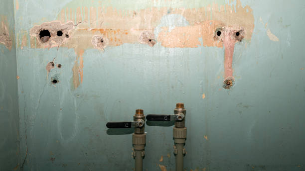 Best Basement water damage restoration  in Hideo, UT