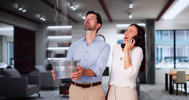 Best Water damage restoration mold remediation  in Hideo, UT