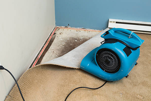 Trusted Hideout, UT Water damage restoration Experts